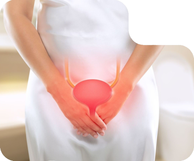 Infecção Urinária